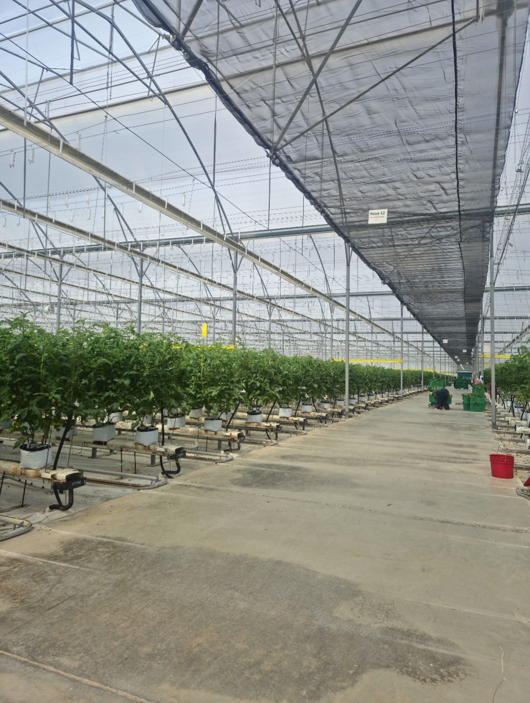 Monitoreo Ambiental y Agrícola
